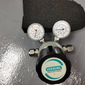 Regulatpr Hornung HP350*